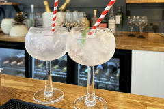 GIN_IMG_7887-scaled-e1676233031369